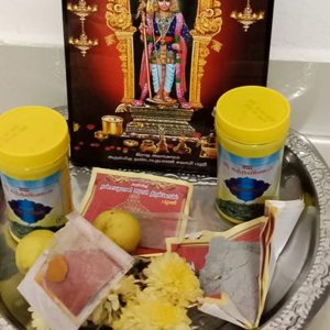 Navapashana palani murugan Swamy Vibhuthi poojaa